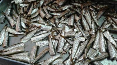 «Шпротный маневр» России может обвалить рыбную промышленность Прибалтики
