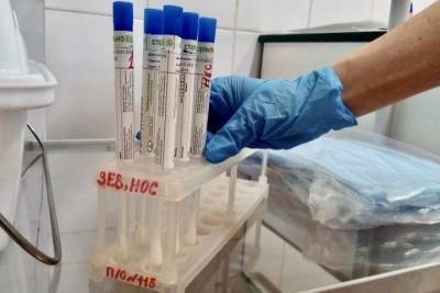За время пандемии коронавируса в Петербурге умерло восемь беременных женщин