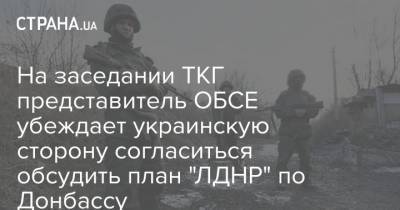 На заседании ТКГ представитель ОБСЕ убеждает украинскую сторону согласиться обсудить план "ЛДНР" по Донбассу