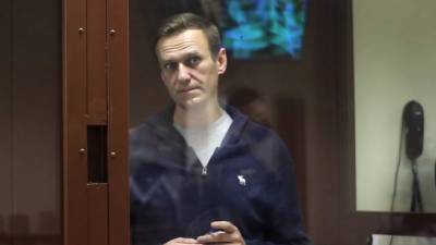 Защита обжаловала штраф Навальному по делу о клевете на ветерана