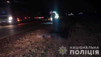 В Одесской области возле дороги нашли изуродованные тела двух мужчин: фото