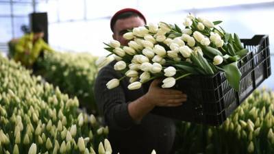 Эксперты прокомментировали цены на цветы к 8 Марта