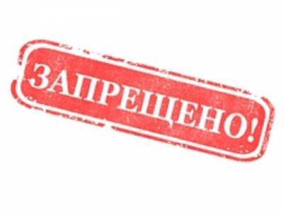 Нижегородской журналистке из-за «санитарного дела» запретили выходить в интернет