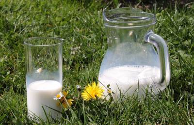 Снижение НДС портит отношения производителей молока с переработчиками