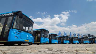 Почти 400 километров выделенных полос для автобусов создали в Москве