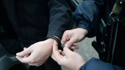 В Петербурге задержан сбивший полицейского водитель