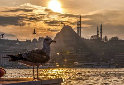 В Турции у путешественников потребуют отрицательный ПЦР-тест на COVID-19