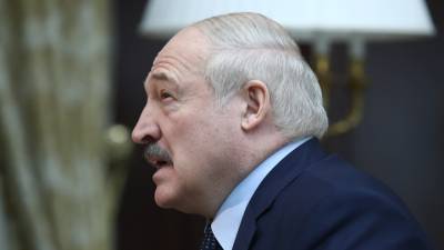 Лукашенко предложил россиянам и белорусам летать на одних боевых самолетах