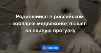 Родившийся в российском зоопарке медвежонок вышел на первую прогулку