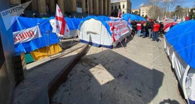 Количество палаток перед зданием парламента Грузии увеличивается