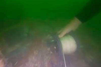 Воры-ныряльщики украли 600 литров пива с затопленного судна