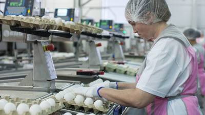 Продуктовое равновесие: российские производители договорились о сдерживании цен на мясо птицы и яйца