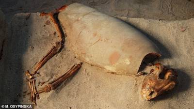 Самое старое на свете: в Египте нашли кладбище домашних животных