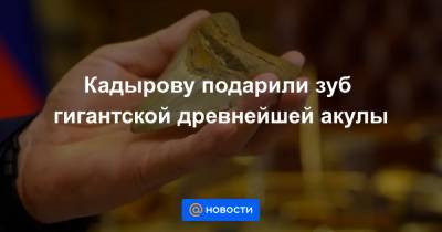 Кадырову подарили зуб гигантской древнейшей акулы