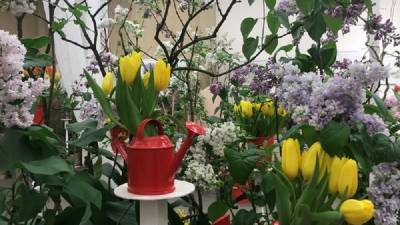 Цветы к 8 марта в Петербурге за год подорожали на 50%