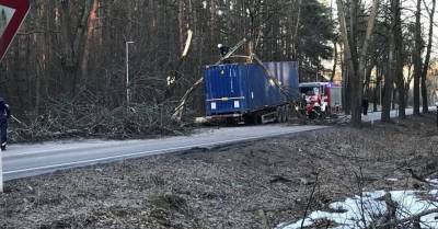 ЧП на ул. Слокас: дерево упало на грузовик и перегородило дорогу