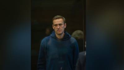 "Лагерь хороший, пусть отдохнет": жители Покрова недовольны дерзким поведением Навального в суде