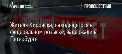 Жителя Кировска, находящегося в федеральном розыске, задержали в Петербурге