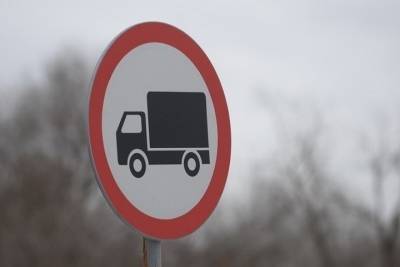 Ограничение движения для большегрузов вводят в Псковской области