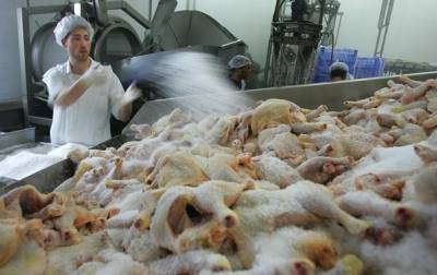 Украина вошла в тройку крупнейших поставщиков курятины в ЕС в 2020 году