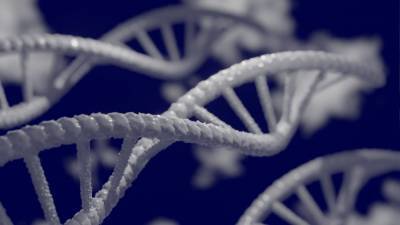 Найдено доказательство генетической предрасположенности к нетрадиционной ориентации