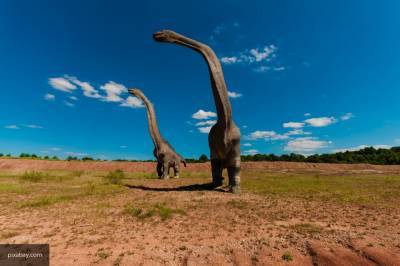 Палеонтологи обнаружили в Аргентине самого древнего титанозавра