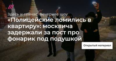 «Полицейские ломились в квартиру»: москвича задержали за пост про фонарик под подушкой