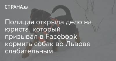 Полиция открыла дело на юриста, который призывал в Facebook кормить собак во Львове слабительным