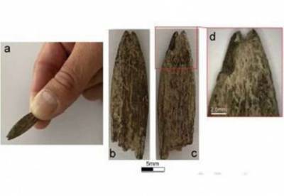 В Австралии обнаружен редкий костяной артефакт
