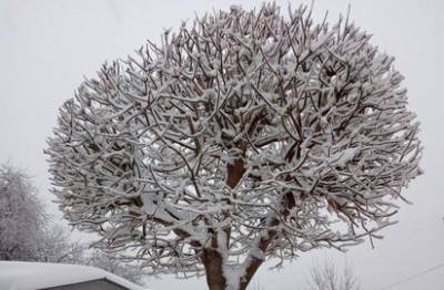 После ледяного дождя в Башкирии вновь ожидаются неблагоприятные погодные явления
