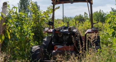 При содействии миротворцев в Карабахе начались сельскохозяйственные работы