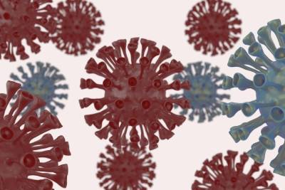 В Карелии от коронавируса выздоровели вдвое больше человек, чем заболели