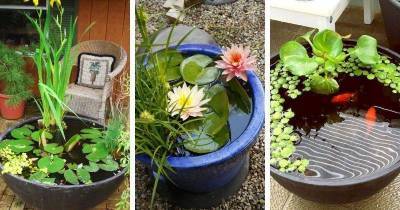 23 прекрасных идеи мини-пруда для красивого сада
