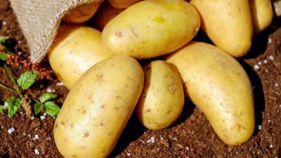 Российский диетолог развеял миф о вреде картофеля