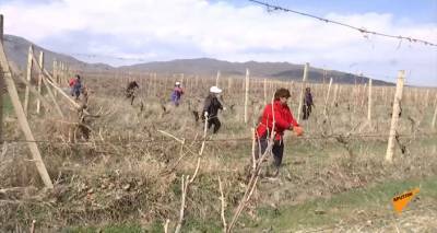 При содействии миротворцев в Карабахе начались сельскохозяйственные работы - видео