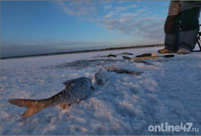 МЧС спасает 55 рыбаков, застрявших на отколовшейся льдине под Кингисеппом