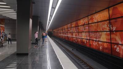"Красноармейца" со смартфоном задержали после прогулки по путям в московском метро