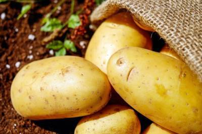 Диетолог призвала не отказываться от картофеля