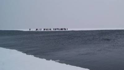 Спасатели догнали льдину с рыбаками в Финском заливе