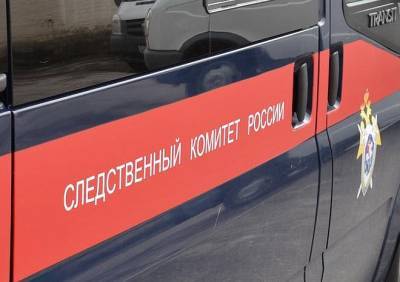 В Новосибирской области убили шестилетнего мальчика
