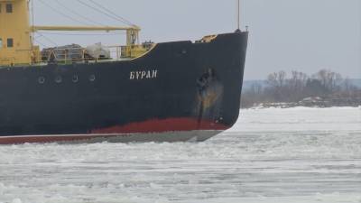 Ледокол «Буран» вышел в рейд по колке льда в Финском заливе.