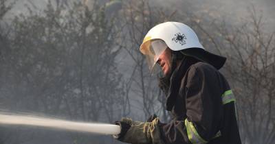 В Николаевской области в пожарах погибли два человека - tsn.ua - Львов - Николаевская обл. - район Вознесенский