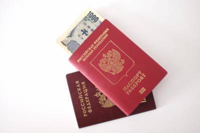 Россияне смогут оформить электронные паспорта до июля 2023 года