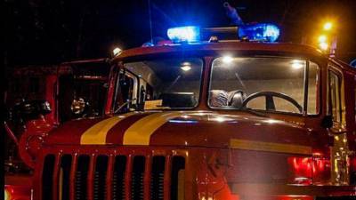 Пожарные справились с огнем в Измайловском кремле