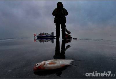 В Ленобласти завершилась масштабная операция по спасению рыбаков с дрейфующей льдины