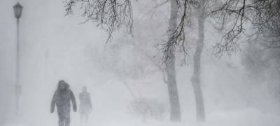 Мокрый снег и метель ожидаются на большей части территории Карелии