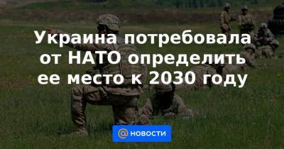 Украина потребовала от НАТО определить ее место к 2030 году