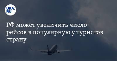 РФ может увеличить число рейсов в популярную у туристов страну