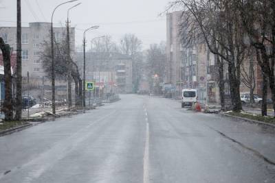 Мокрый снег и метель прогнозируют в Псковской области 21 марта