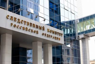 СК проведет проверку по факту ДТП в Москве с участием баскетболиста Шабалкина